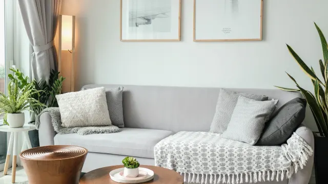 A bright, freshly cleaned living room with a large window